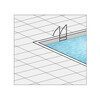 Pool & Teich