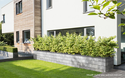 Gartenmauer Blumenbeet grau
