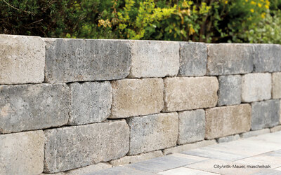 CityAntik Mauer muschelkalk