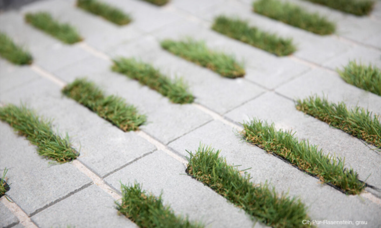 Detailaufnahme CityPur-Rasenstein grau