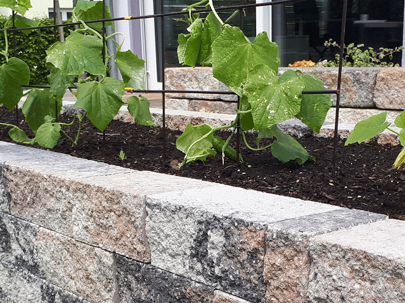 BossIntak Mauer