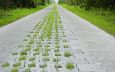 Graues Agro-Pflaster als breiter Weg mit Grasfugen,  der durch einen grünen Wald führt