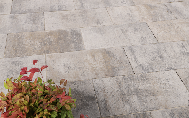 muschelkalkfarbene Betonplatten in rechteckiger Verlegung auf einer Terrasse, Produkt