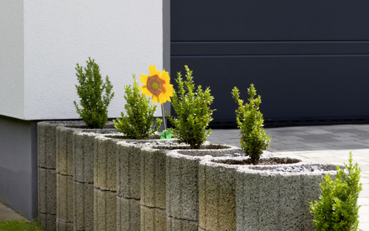 Hangflor Pflanzringe - Produkte